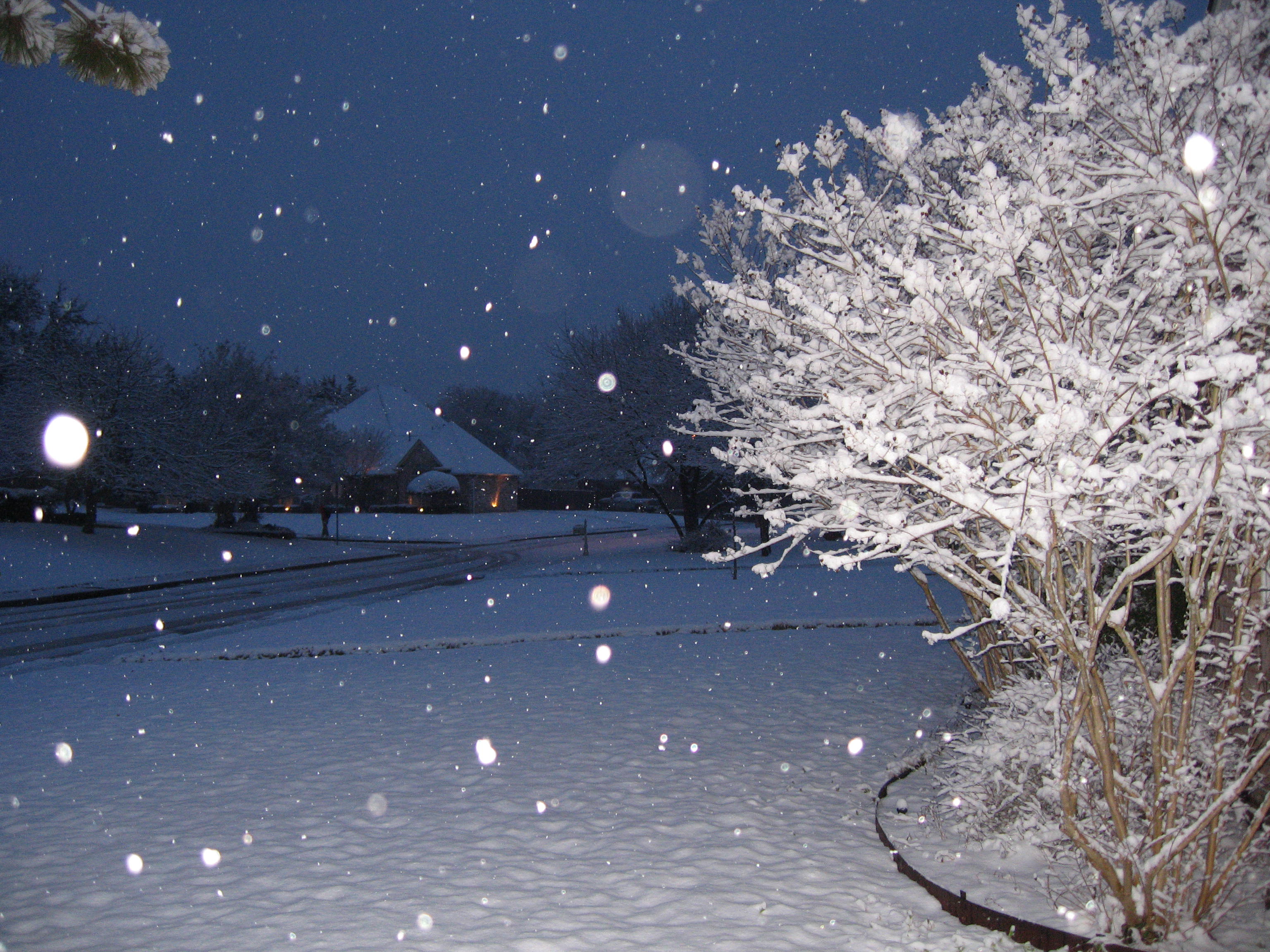 10.02.11 cedar hill snow scenes 005
